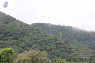 September 01 2011