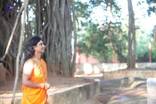 November 17 2011