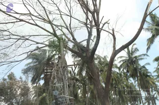 January 03 2012