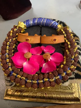 KAILASA HOUSTON, USA on 5/11/2022