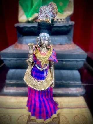 Photo 9921272