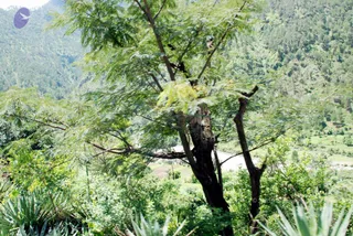 July 01 2008