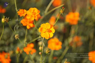 February 05 2011