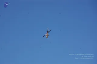 February 10 2013