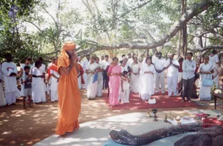2004 - sacred collections uncategorised