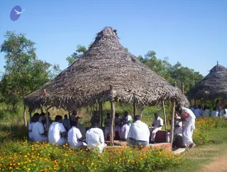 November 30 2005