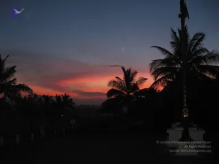 February 23 2008