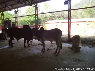 May 01 2022