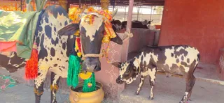Jan 16 2023 sripuram