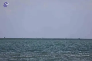 April 29 2018