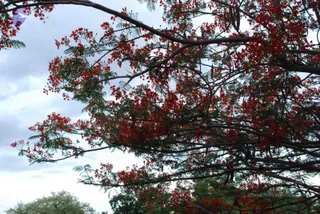 August 01 2008