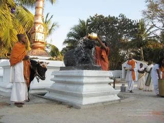 January 20 2008