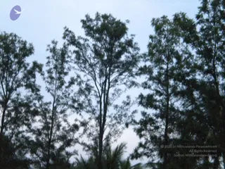 October 01 2010