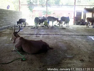 January 17 2022