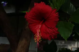June 05 2010