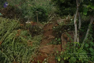 May 20 1989
