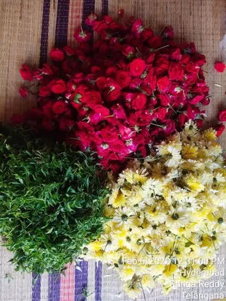 WhatsApp Image 2022-02-06 at 12.31.12.jpeg