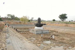 November 19 2008