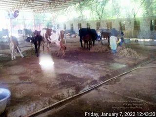 January 07 2022