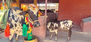 Jan 16 2023 sripuram