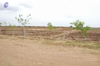 July 14 2009