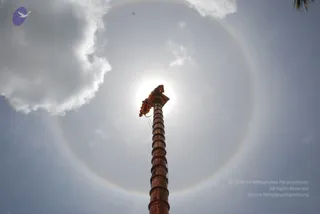 July 11 2010