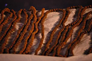 May 09 2008