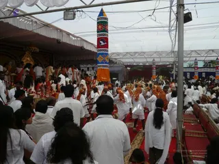 20080101 more 080152.jpg