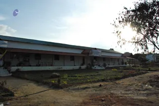November 20 2008