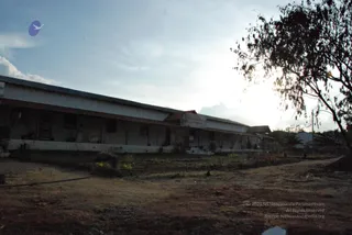 November 20 2008