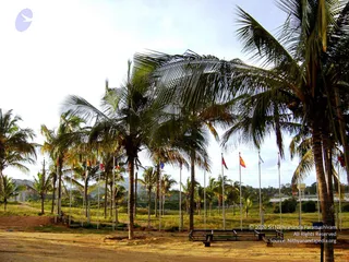 August 26 2007