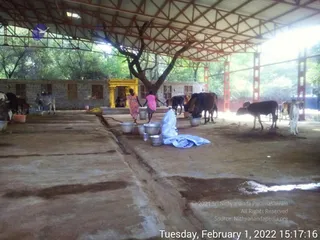February 01 2022