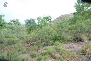 August 03 2008