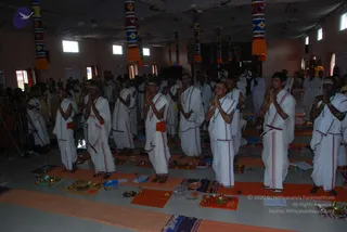 November 05 2010
