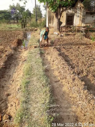 20220328 kacharapattu2022-03-29 at 1.49.37 PM.jpg