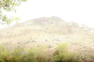 20080519 9582.jpg
