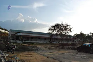 November 20 2008