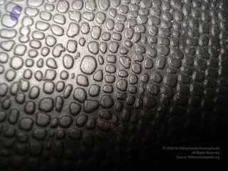 2011 -eNMiracles Collections