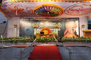 January 23 2010