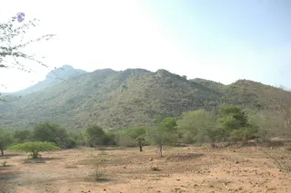 1978 - Tiruvannamalai - InnerGirivala