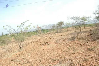 1978 - Tiruvannamalai - InnerGirivala