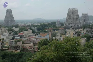 May 20 1989