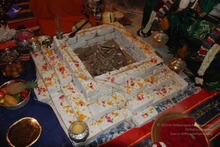July 01 2009