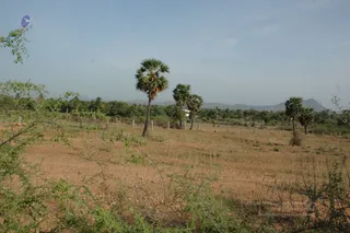 1978 - Tiruvannamalai - InnerGirivala