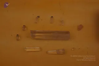 Rare archival collection