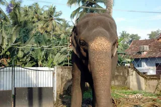 November 09 2006