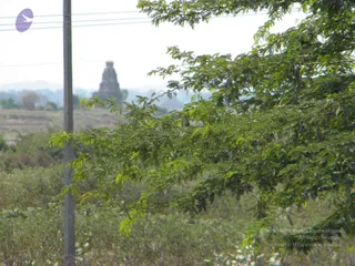 October 02 2009