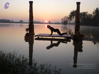 Nithyananda Yoga Poses