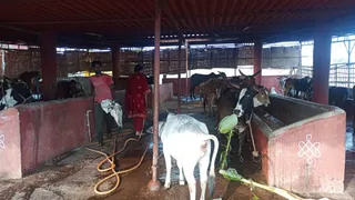 Jan 15 2022 sripuram