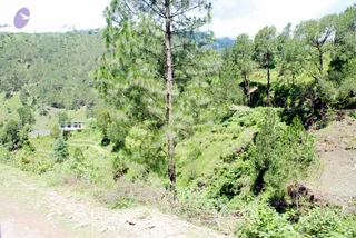 July 01 2008